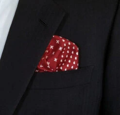 100% Silk Pocket Square - Ruby Red & White Dots & Fleur De Lis 12.5in 9 100% Silk Pocket Square - Ruby Red & White Dots & Fleur De Lis 12.5in -Suit Discount Store 0048 5 41546.1634669873