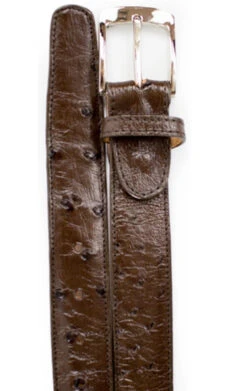 Belvedere Genuine Ostrich Quill Dress Belt -Suit Discount Store BELBT 2001 brown 65892.1519250068