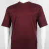 Bassiri Short Sleeve V-Neck Ribbed Jersey Knit Tee - Plum
