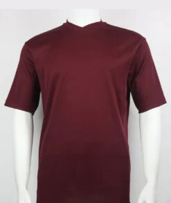 Bassiri Short Sleeve V-Neck Ribbed Jersey Knit Tee - Plum