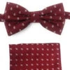 Dark Red With Fleur De Lis Symbols Pre-Tied Silk Bow Tie Set