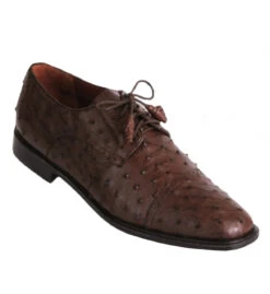Los Altos Genuine Ostrich Quill Cap Toe Dress Shoe - Brown