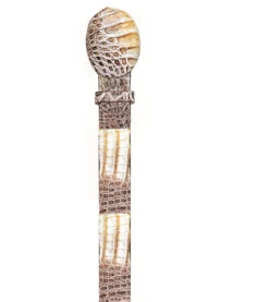 Los Altos Genuine Caiman Croc Hornback Western Fashion Belt - Natural -Suit Discount Store LSAL C11U0249 2 26051.1614208149