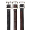 Los Altos Genuine Teju Lizard And Braided Leather Belt