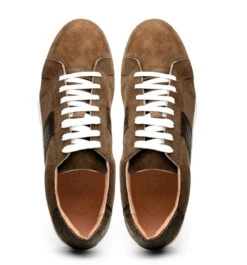 Zelli 100% Genuine Crocodile & Suede Sneaker - Cappuccino Brown -Suit Discount Store ZEL 66 101 BR 5 63102.1677190995