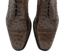 Zelli Italian 100% Genuine Ostrich Quill Cap Toe Dress Shoe -Suit Discount Store ZEL OST 23 538br 4 57866.1676671221