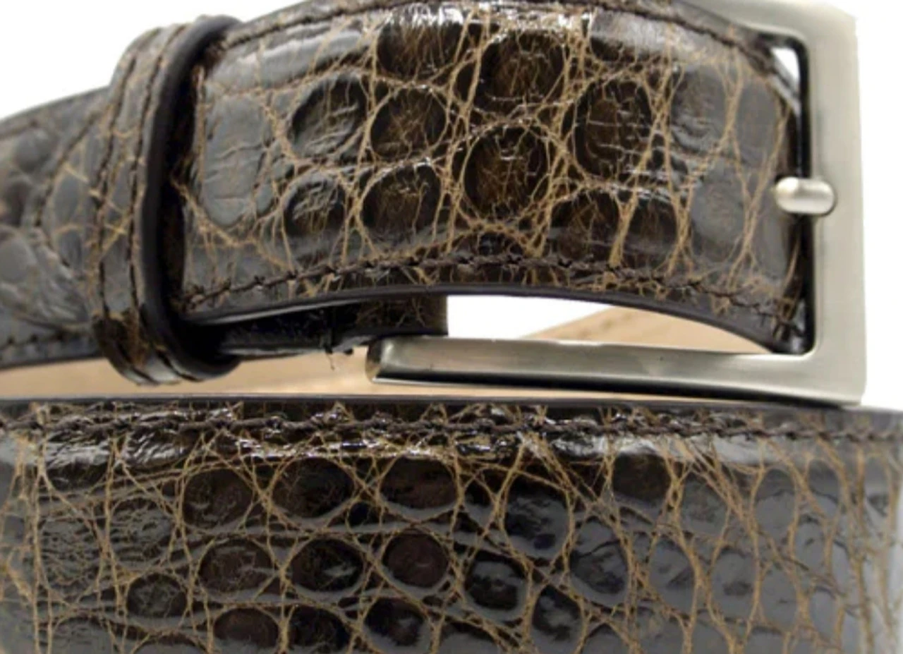Zelli Genuine Alligator Dress Belt 5 Zelli Genuine Alligator Dress Belt - Image 5